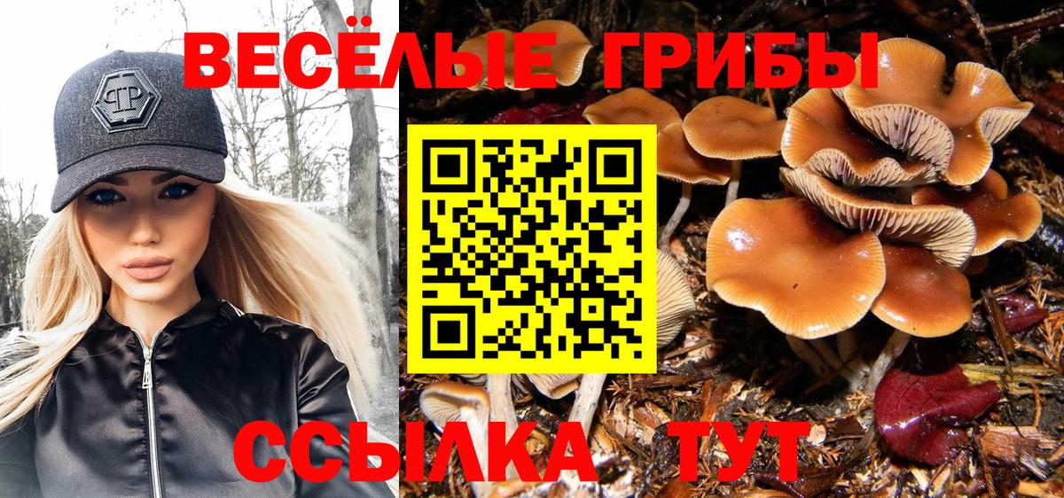 Галлюциногенные грибы Psilocybine cubensis Королёв