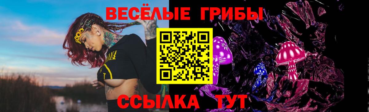 Королёв  Псилоцибиновые грибы Psilocybine cubensis  Вход с VPN 