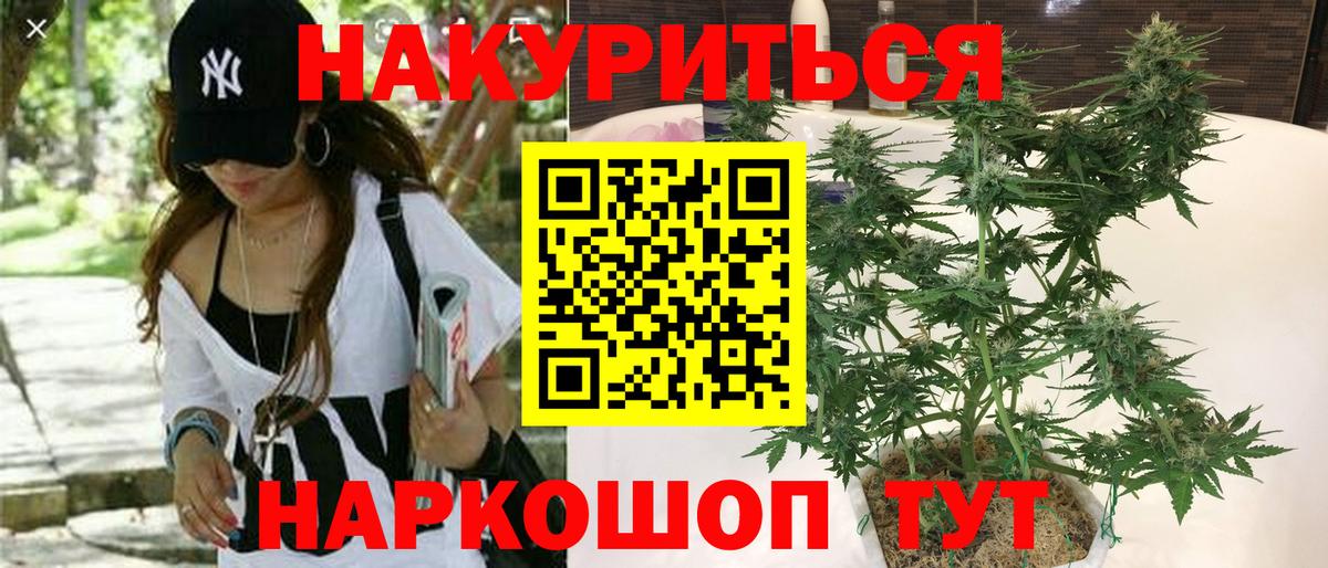 Канабис THC 21%  Канабис семена  Королёв  Вход с VPN  Конопля MAZAR 